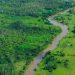 Aunque la deforestación se ha reducido, los bosques continúan bajo presión, señala la ONU.