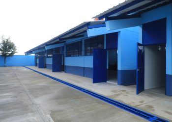 Ministerio de Educación ha remozado el 70.6% de escuelas en el país. (Foto: archivo)