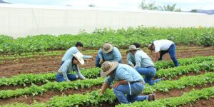 Autoridades que conforman el Conasan realizan acciones de atención en los municipios priorizados del país. (Foto: archivo)