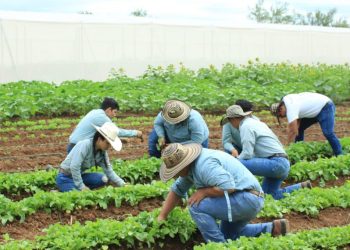 Autoridades que conforman el Conasan realizan acciones de atención en los municipios priorizados del país. (Foto: archivo)