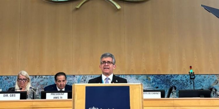 Ministro de Salud participa en la Asamblea Mundial de la Salud. (Foto: MSPAS)