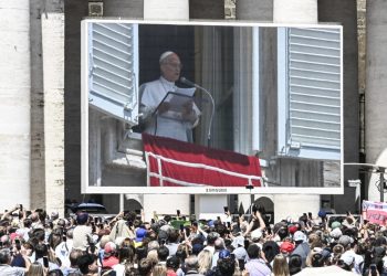 El Papa hace nuevo llamado a cuidar el medio ambiente y lamenta que las guerras frenen acciones para ello.