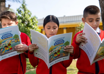 Guía Metodológica permitirá fortalecer entornos escolares saludables, equitativos y sostenibles. (Foto: Mineduc)