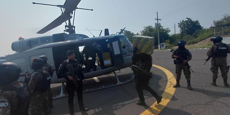 Agentes de la PNC trasladan la droga a la sede de la SGAIA en la capiral, en un helicóptero de la Unagob.