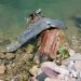 Marn alerta sobre relleno de ripio en orillas del lago Petén Itzá. (Foto: MARN)