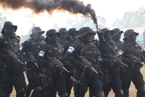 La incorporación de estos nuevos agentes forma parte de la estrategia del Ministerio de Gobernación. / Foto: PNC