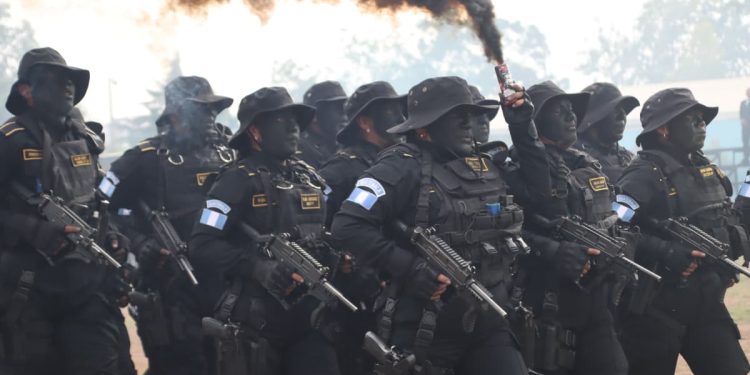 La incorporación de estos nuevos agentes forma parte de la estrategia del Ministerio de Gobernación. / Foto: PNC