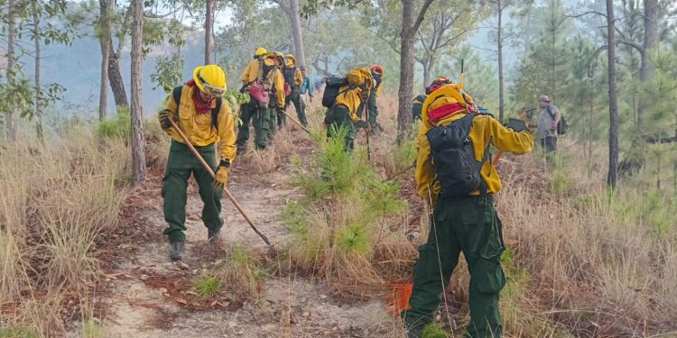 Autoridades fortalecen la cultura de prevención en Zacapa