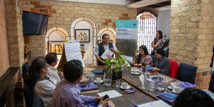 Alta Verapaz fortalece capacidades en derechos humanos y actividad empresarial
