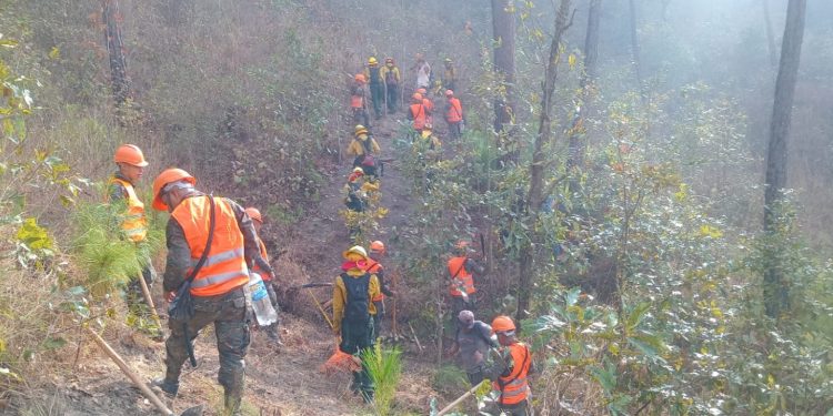 Autoridades departamentales de Zacapa buscan fortalecer prevención de incendios forestales