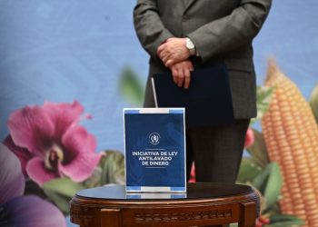 Iniciativa de ley Antilavado