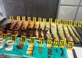 Incautación de armas de fuego crece en los primeros meses del 2026./Foto: PNC.