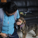 UBApp, la herramienta para denuncia de maltrato animal./Foto: MAGA.