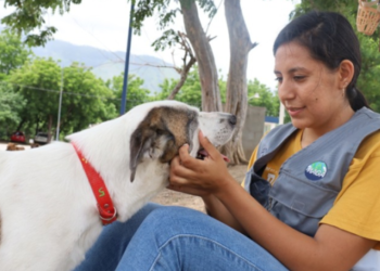 Cada acción cuenta cuando se trata de proteger a los animales. / Foto: MAGA.