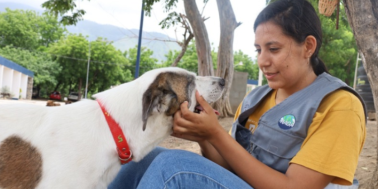 Cada acción cuenta cuando se trata de proteger a los animales. / Foto: MAGA.