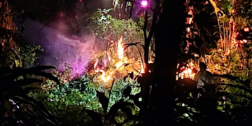 El hallazgo se registró en áreas aledañas a la aldea Santa María Tzejá, donde las fuerzas de seguridad desarrollaron un operativo de reconocimiento. / Foto: Ejército