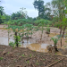 Atienden emergencias por lluvias./Foto: Conred.