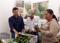 Congreso Nacional de Aguacate reúne a más de 500 profesionales el 18 y 19 de junio