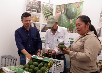 Congreso Nacional de Aguacate reúne a más de 500 profesionales el 18 y 19 de junio