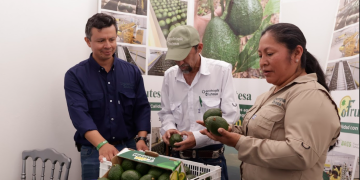 Congreso Nacional de Aguacate reúne a más de 500 profesionales el 18 y 19 de junio