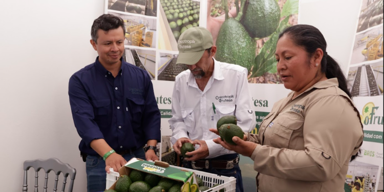 Congreso Nacional de Aguacate reúne a más de 500 profesionales el 18 y 19 de junio