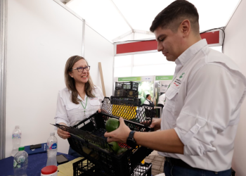 Guatemala busca abrir nuevos mercados de exportación del aguacate en Asia