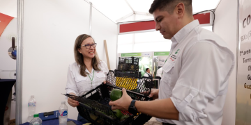 Guatemala busca abrir nuevos mercados de exportación del aguacate en Asia