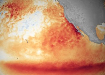 La Oficina Nacional para la Admósfera y el Océano de EE. UU. alerta sobre formación del fenómeno "El Niño".