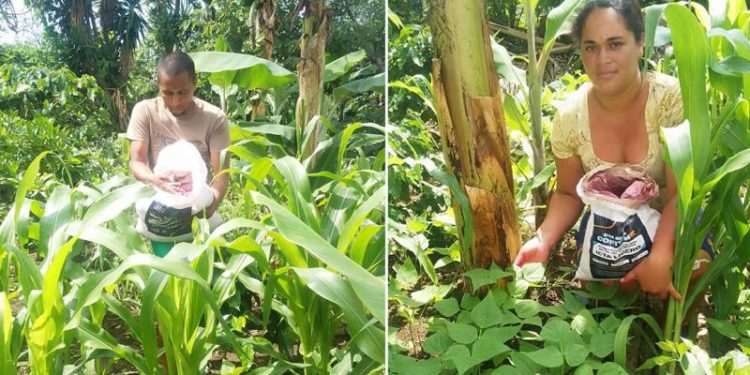 Agricultores de El Adelanto, Jutiapa, recibieron insumos por parte del MAGA y orientación, a fin de mejorar la seguridad alimentaria.