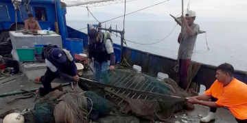 Verifican que embarcaciones camaroneras utilicen dispositivos para proteger a las tortugas marinas. (Foto: MAGA)