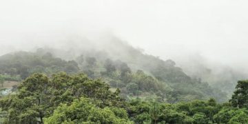 MAGA hace un llamado a los productores a tomar medidas por lluvias y altas temperaturas./Foto: MAGA.
