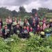 El MAGA priorizará apoyo a familias agricultoras y cultivos estratégicos ante riesgo de sequía en 2026