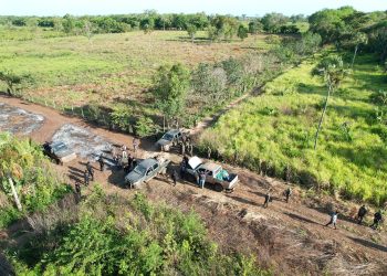 Desmantelan infraestructura ilegal dentro de la Reserva de Biosfera Maya. (Foto: Conap)