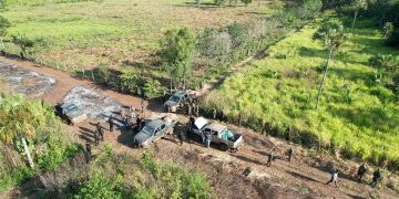 Desmantelan infraestructura ilegal dentro de la Reserva de Biosfera Maya. (Foto: Conap)