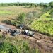 Desmantelan infraestructura ilegal dentro de la Reserva de Biosfera Maya. (Foto: Conap)