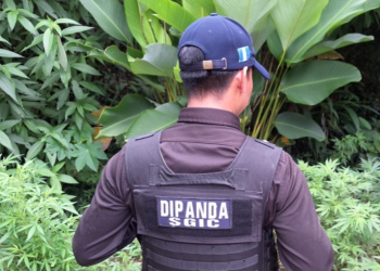 Diligencia de la PNC en Cobán. / Foto: Cobán