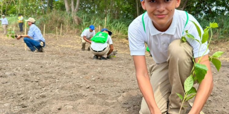 Impulsan la recuperación de los bosques en la costa sur con el Programa de Sostenibilidad Forestal 2026