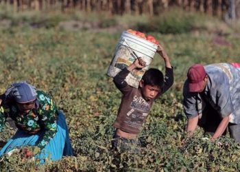 Día Mundial contra el Trabajo Infantil./Foto: Radio TGW.