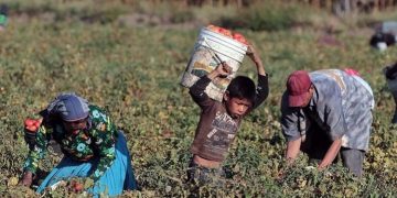 Día Mundial contra el Trabajo Infantil./Foto: Radio TGW.