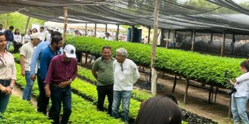 Vivero forestal en el Progreso proveerá especies nativas para la Región III