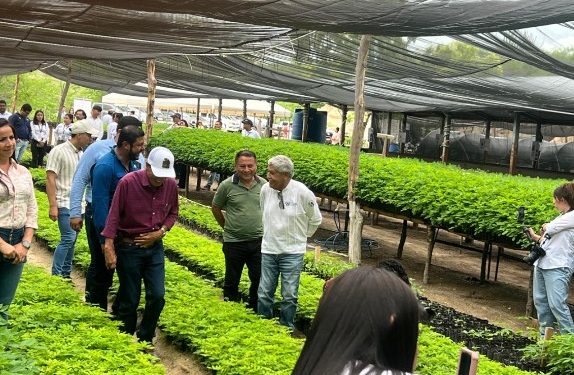 Vivero forestal en el Progreso proveerá especies nativas para la Región III