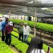 Vivero forestal en el Progreso proveerá especies nativas para la Región III