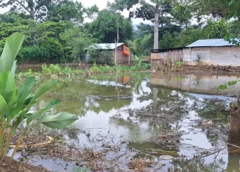 Confirman saturación de suelos en 10 municipios debido a intensas lluvias./Foto: Conred.