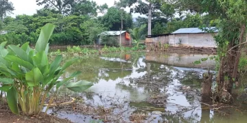 Confirman saturación de suelos en 10 municipios debido a intensas lluvias./Foto: Conred.
