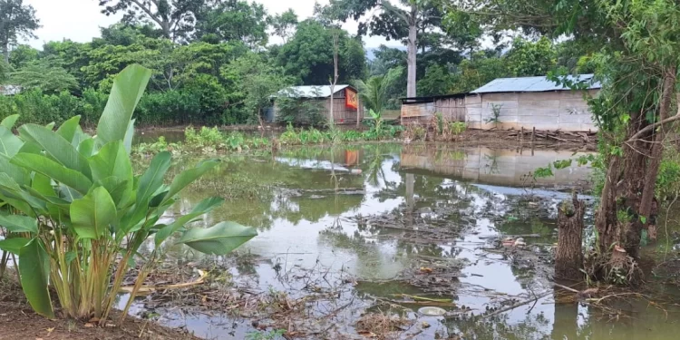 Confirman saturación de suelos en 10 municipios debido a intensas lluvias./Foto: Conred.