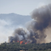 Columna de humo del incendio forestal que se ha declarado en La Bisbal d'Empordà (Girona)./ Foto: EFE.