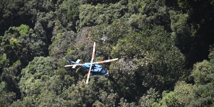 Las acciones de búsqueda se desarrollan tras el accidente de la aeronave con matrícula TG-PIP. / Foto: Ejército