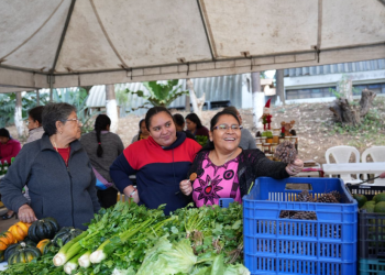 Las Ferias del Agricultor se han consolidado como un punto de encuentro entre productores y consumidores. / Foto: MAGA