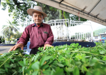 Feria del Agricultor llegará a Villa Canales para acercar productos del campo a la población