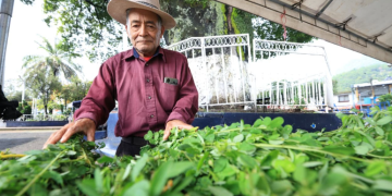 Feria del Agricultor llegará a Villa Canales para acercar productos del campo a la población